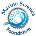 MSF logo